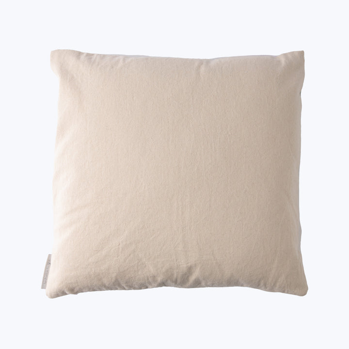 Holi Canvas Pillow