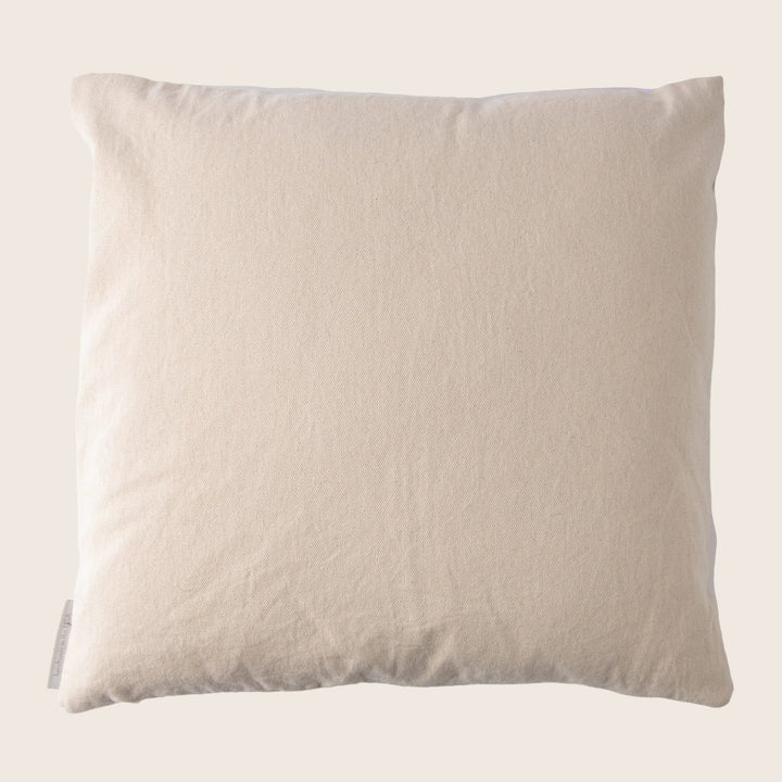 Holi Canvas Pillow