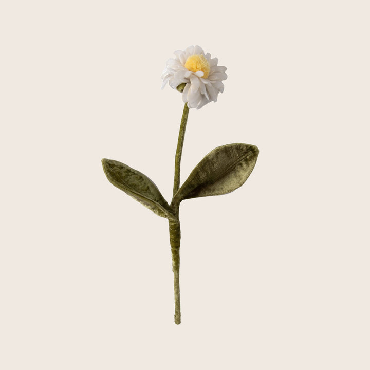 Silk Velvet Flower Daisy / Slim Petal