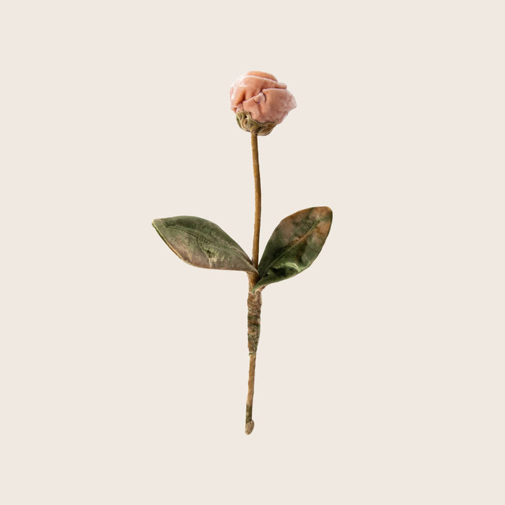 Silk Velvet Flower Rose / Pink Quartz