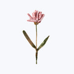 Silk Velvet Flower Coral / Sorbet Pink