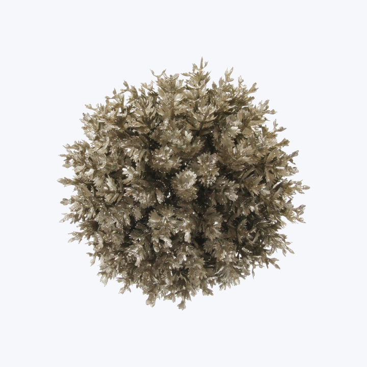 Selaginella Ball Ornament