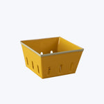 Harlow Bright Berry Basket