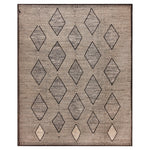 Zameen Transitional Wool Rug - 13'2" x 16'