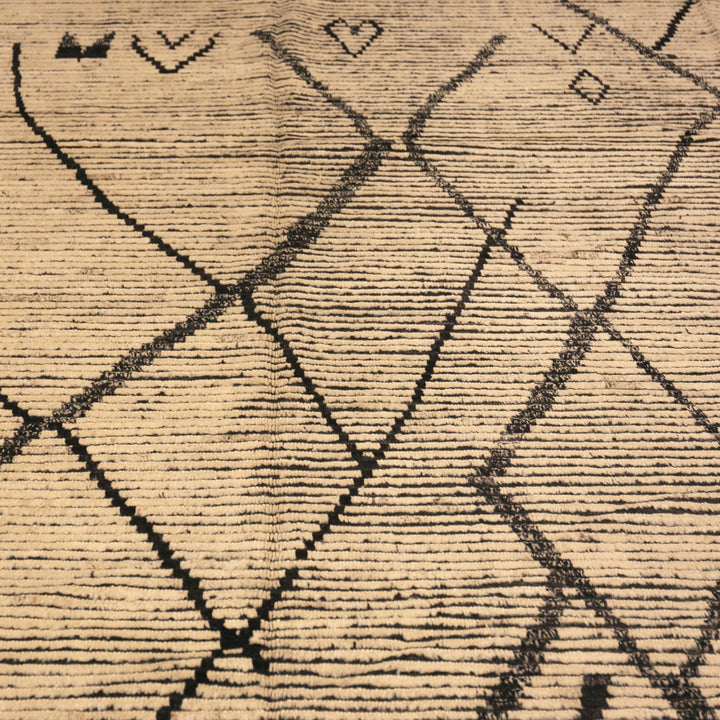 Zameen Transitional Wool Rug - 13'2" x 19'1"