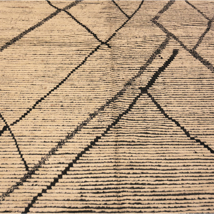 Zameen Transitional Wool Rug - 13'2" x 19'1"