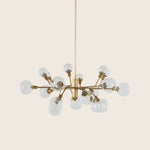 Pellman Chandelier Matte Brass