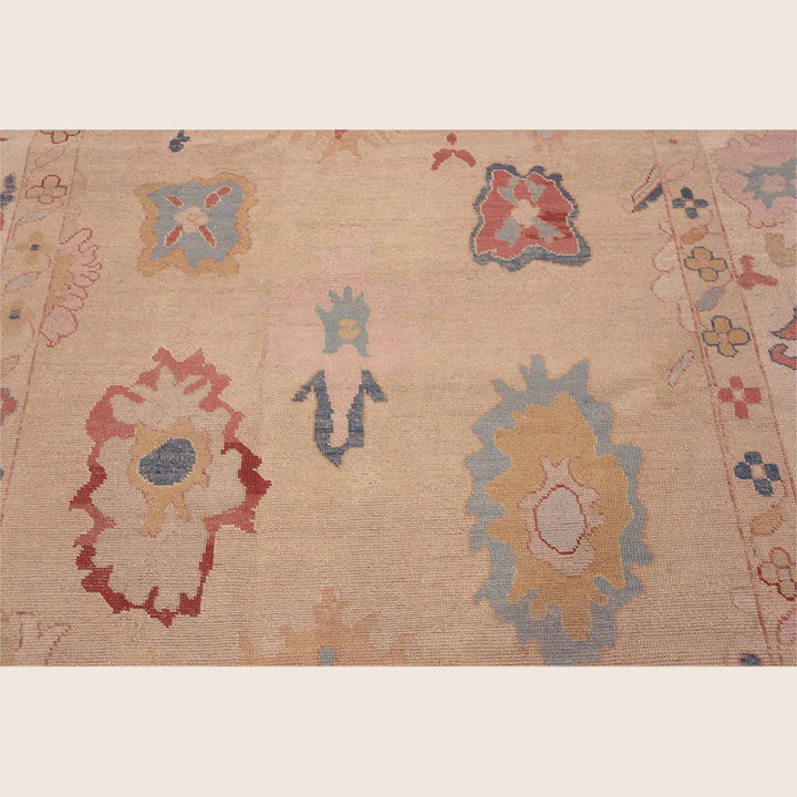 Zameen Transitional Wool Rug - 8' x 9'8"