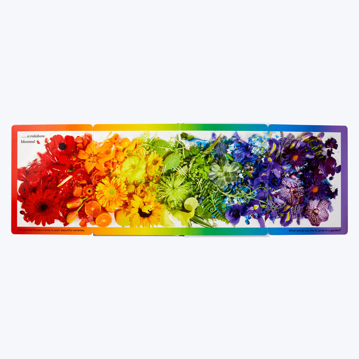 Rainbows in Bloom: Discovering Colors with Flowers