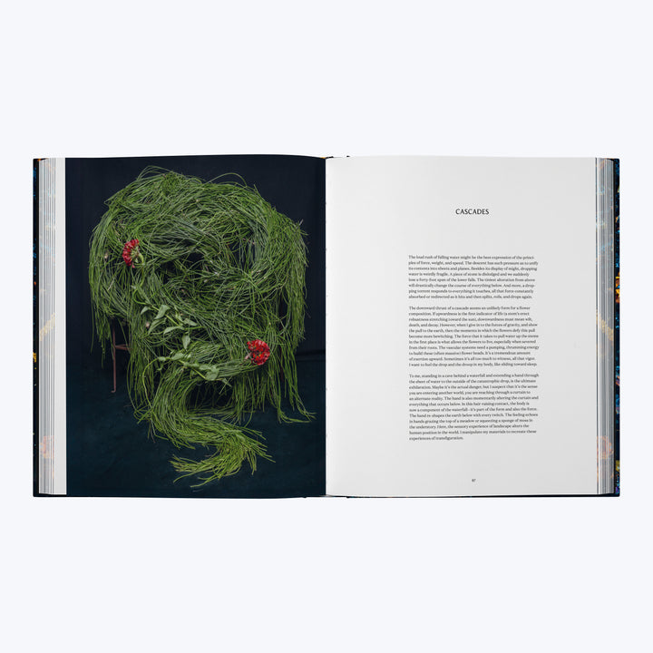 Emily Thompson Flowers