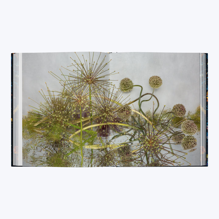 Emily Thompson Flowers