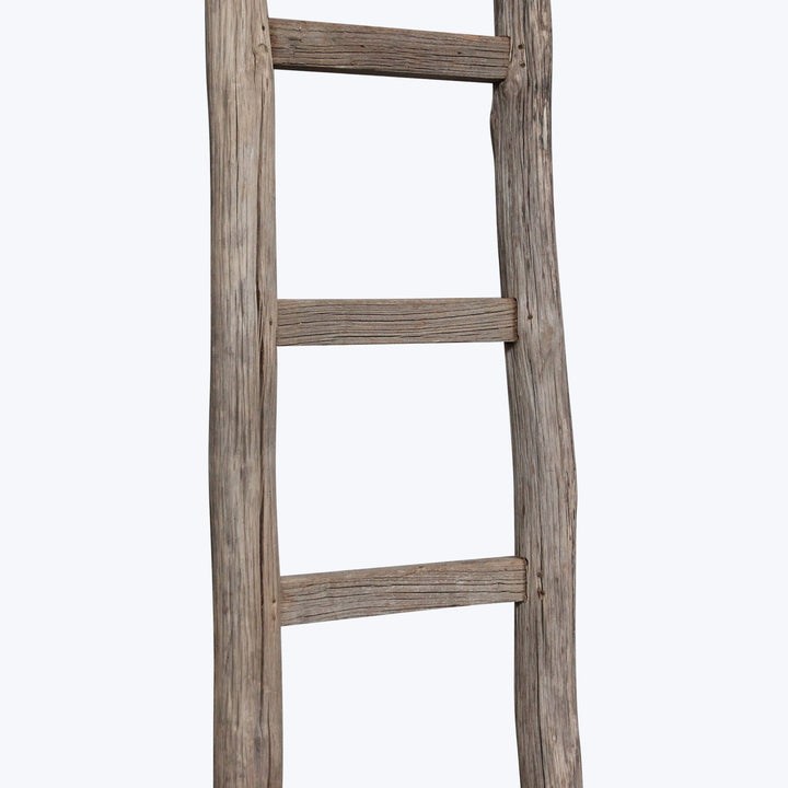 Vintage Elm Ladder
