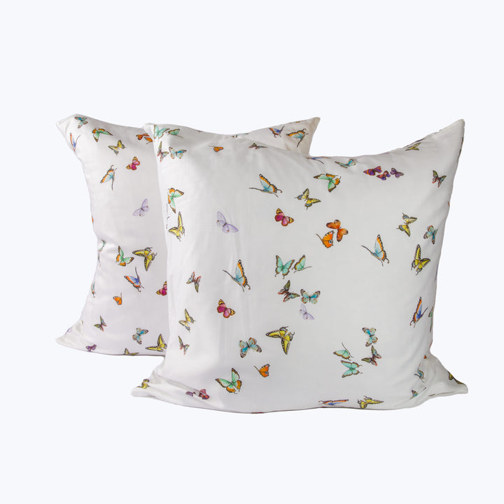 Papillon Sham