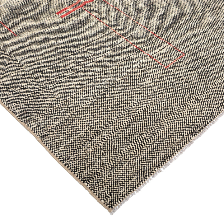 Zameen Transitional Wool Rug - 10'5" x 13'11"