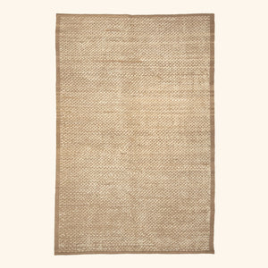 Zameen Transitional Wool Rug - 4'11" x 7'7"