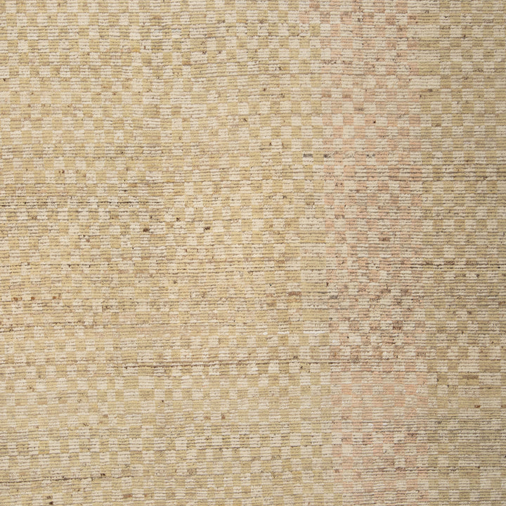 Zameen Transitional Wool Rug - 10'4" x 12'10"