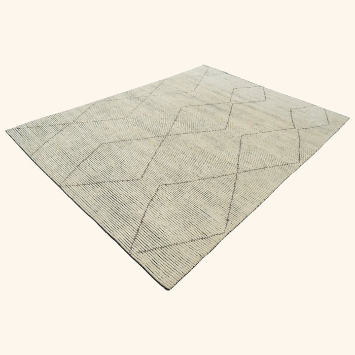 Ivory Transitional Wool Rug - 9' x 12'