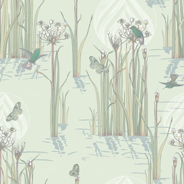 Reed Plants in Water Green Morning