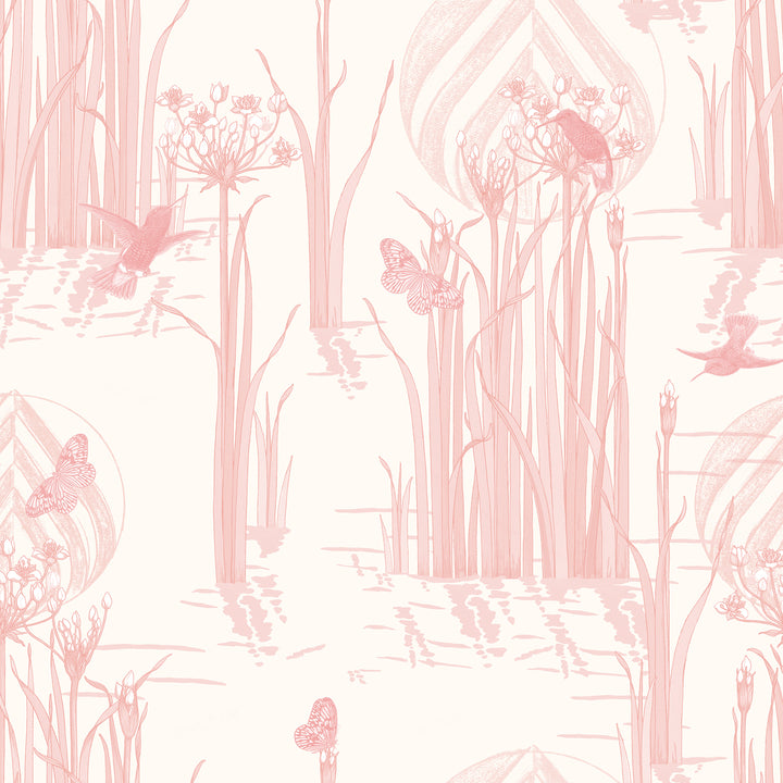 Reed Plants in Water Pink on White