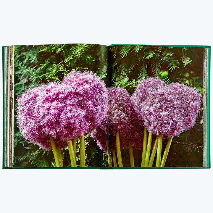 Bunny Williams: Life in the Garden