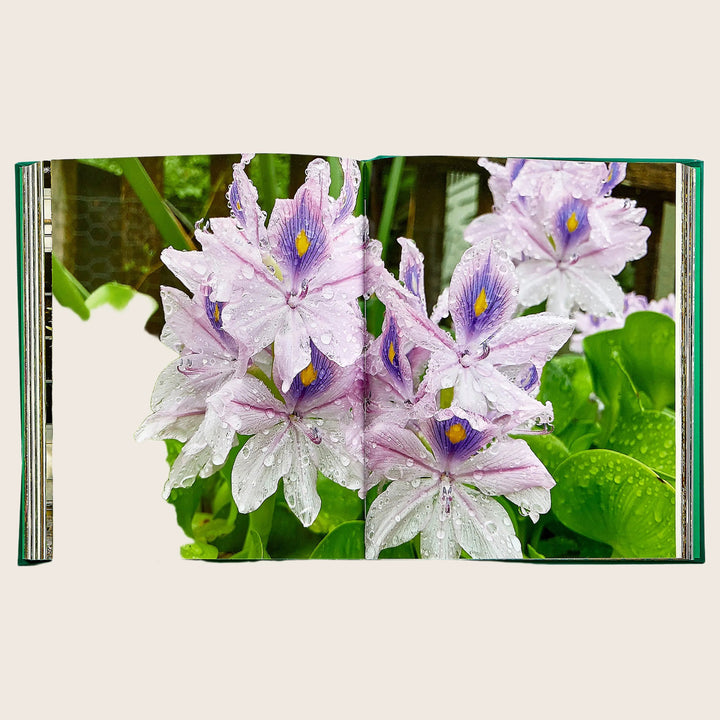 Bunny Williams: Life in the Garden Leather Bound Book