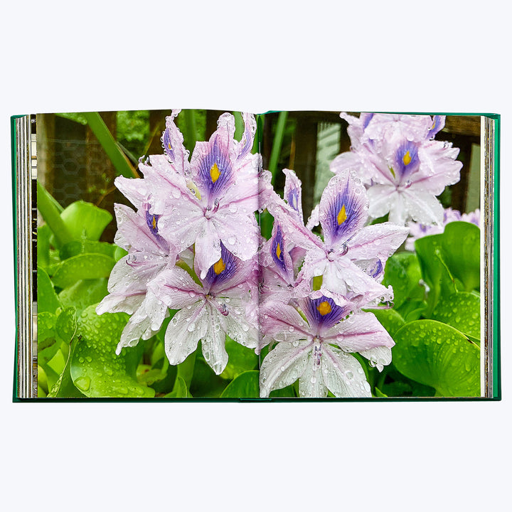 Bunny Williams: Life in the Garden