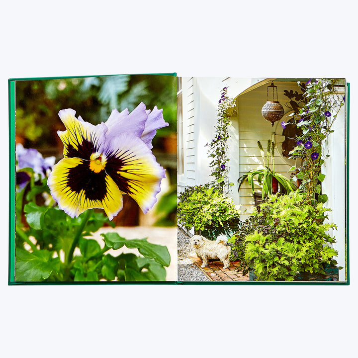 Bunny Williams: Life in the Garden