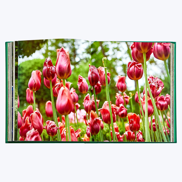 Bunny Williams: Life in the Garden