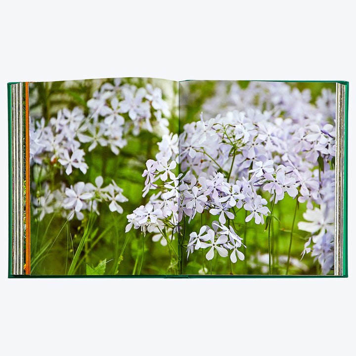 Bunny Williams: Life in the Garden