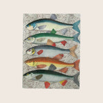Some Fish Tray Multi