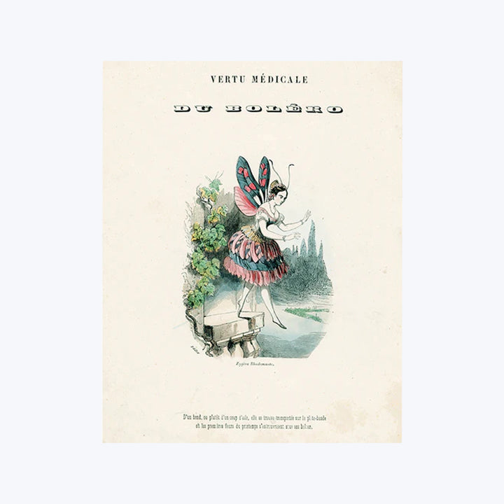 Du Bolero (P 32) Tray Multi