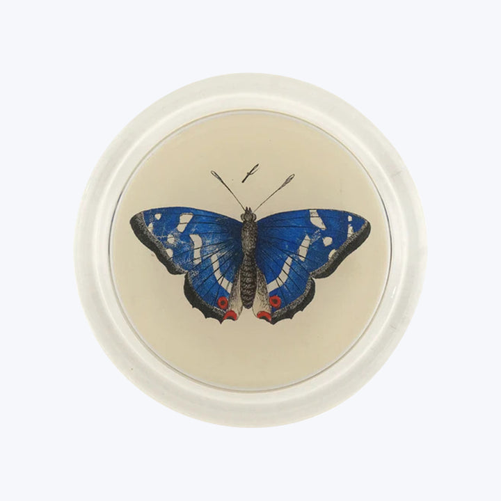 Deep Blue Butterfly Coaster Multi