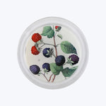 Mixed Berries Coaster Multi