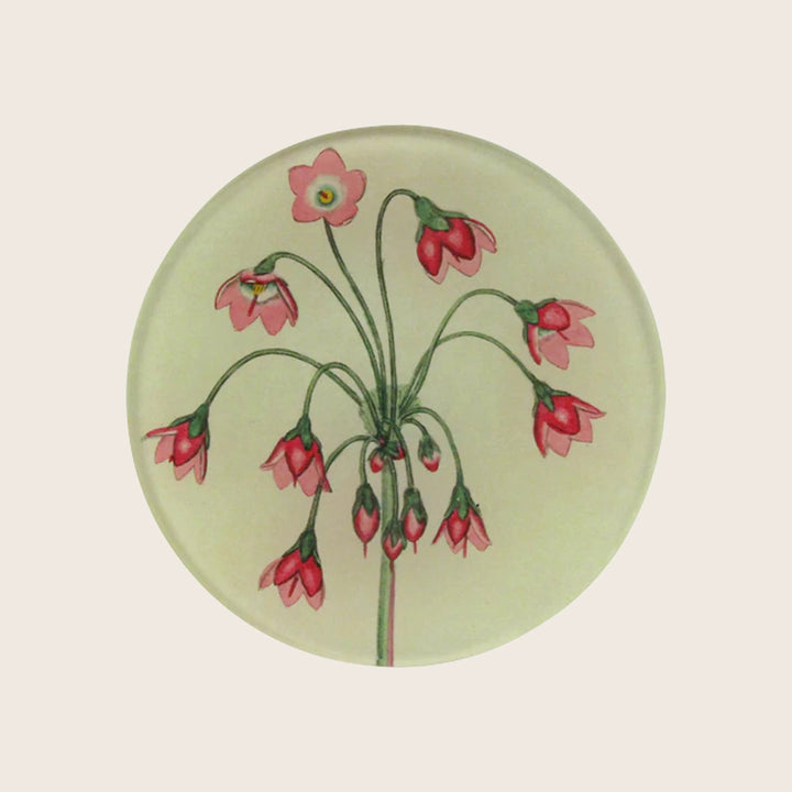 Cortusa Matthioli Round Plate Multi