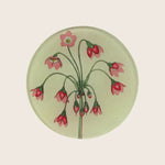 Cortusa Matthioli Round Plate Multi