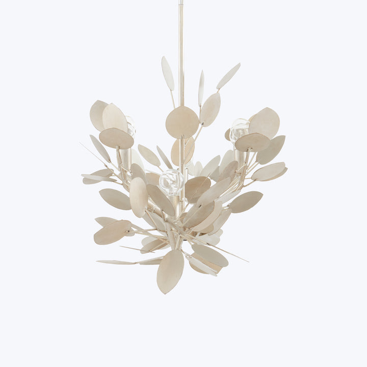 Lunaria Oval Chandelier