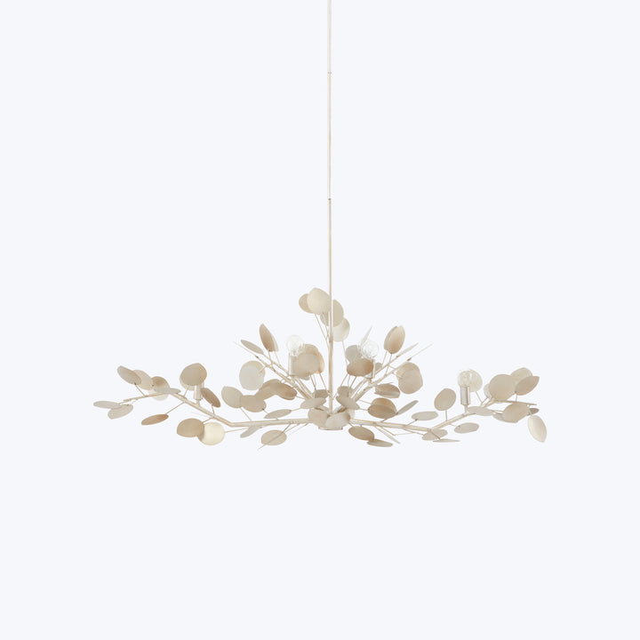 Lunaria Oval Chandelier