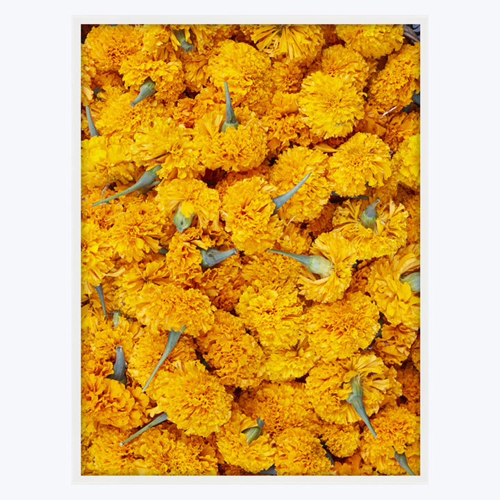 Ubud Marigolds 30" x 40" Unframed