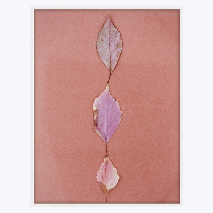 Pink Leaves 24" x 32" Unframed