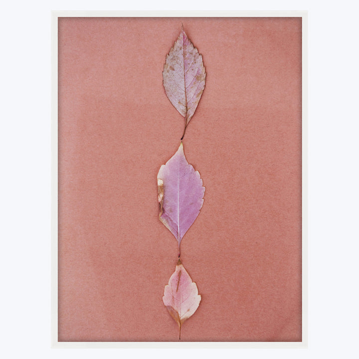 Pink Leaves 30" x 40" Unframed