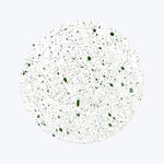 Splash Dinner Plate Empire Green