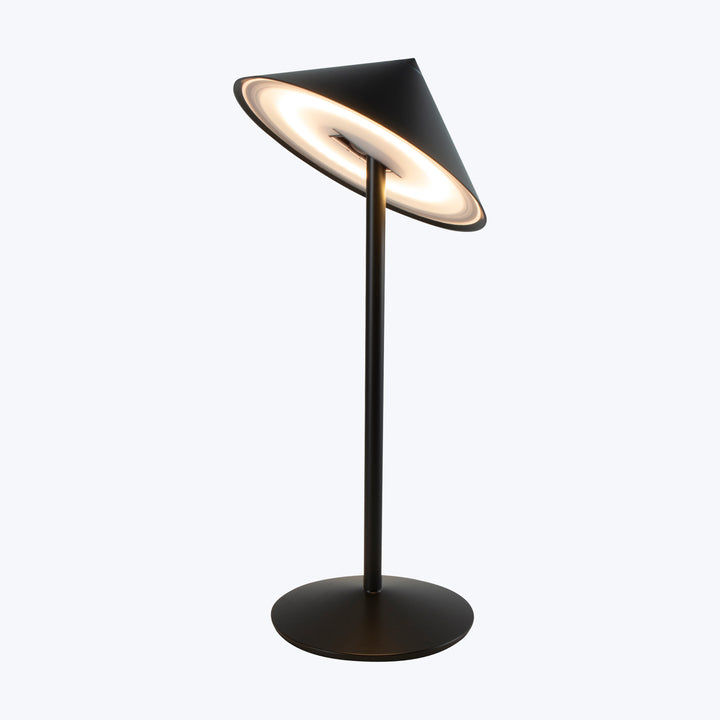 Pina L Desk Lamp Titanium