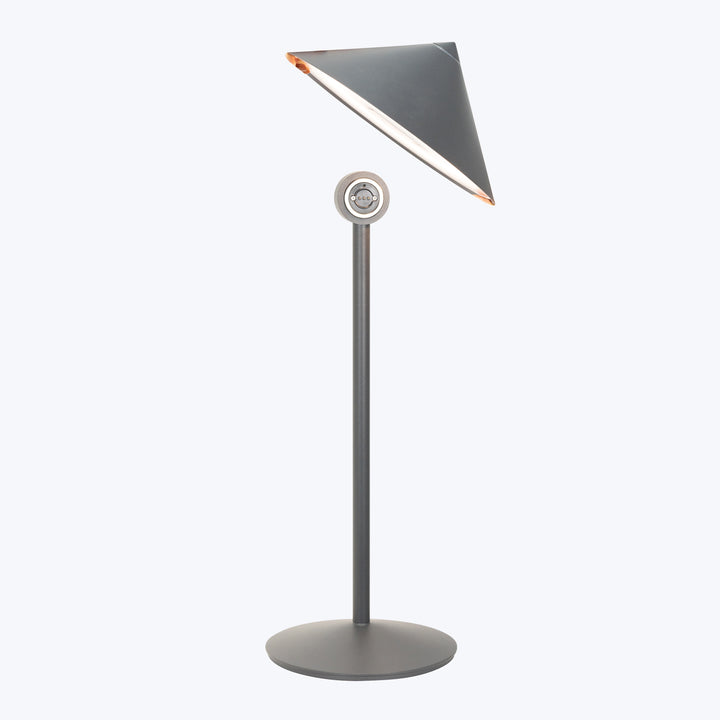 Pina L Desk Lamp Titanium