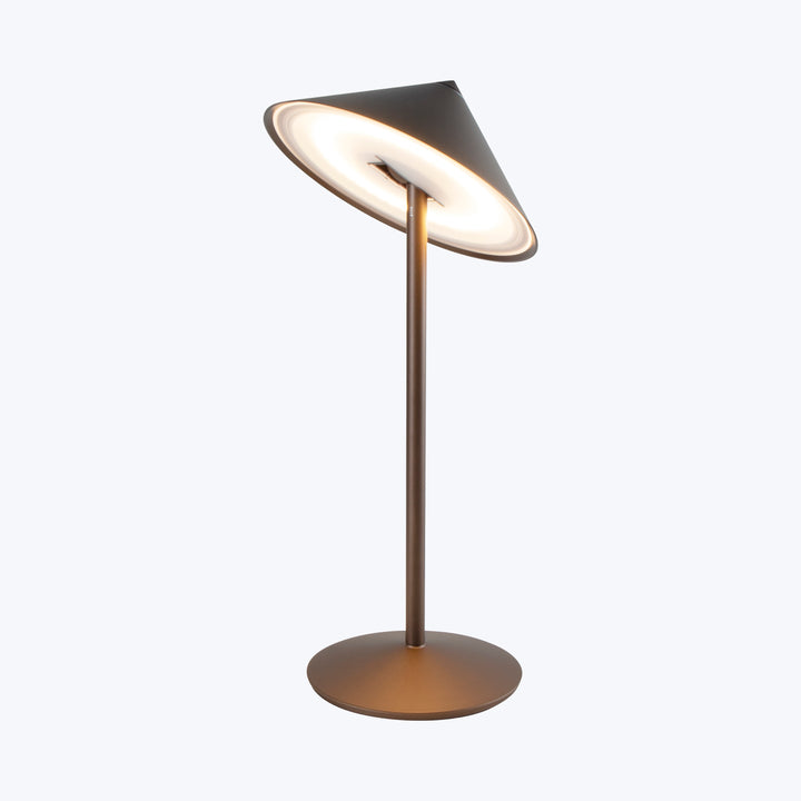 Pina L Desk Lamp Bronze