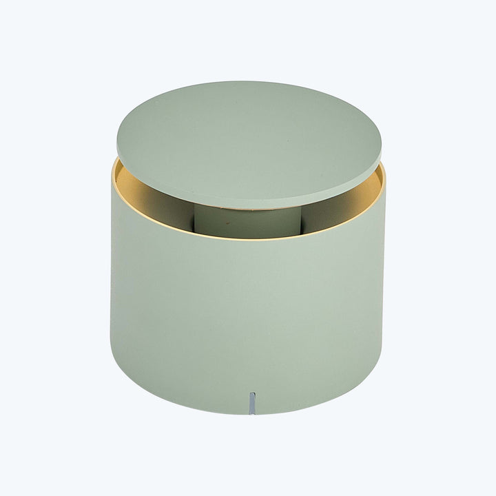 Push Up Pro Light Sage