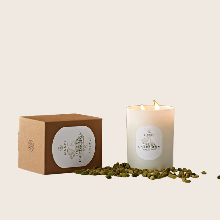 Cedar Cardamom Candle