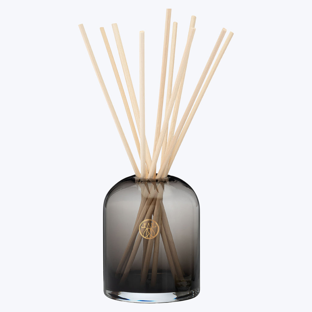 Gather Reed Diffuser Kit – abc carpet & home