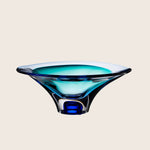 Vision Bowl