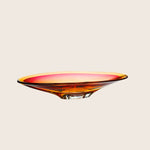 Vision Dish