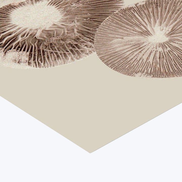 Pernille Folcarelli - Mushroom - 6 Cream 19.69"W x 0.04"D x 27.56"H